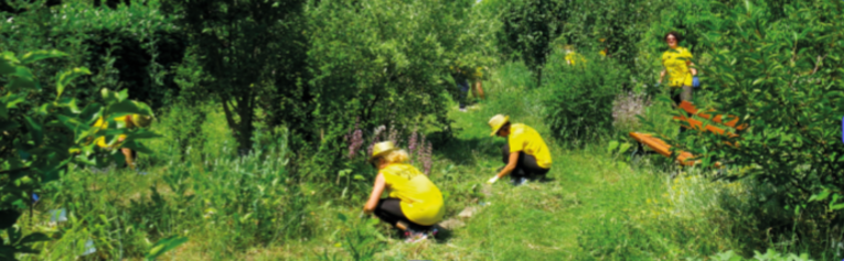 Picasso Food Forest: un parco della sostenibilità per Parma