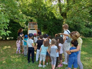 I mulini delle api
