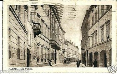 Le fioriere dei crociferi
