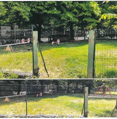 Messa in sicurezza del “parchetto di via Minghetti”