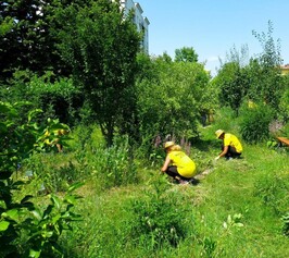 Picasso Food Forest,  un parco della sostenibilità per Parma” 2025