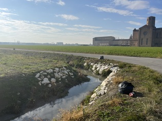 Rimozioni rifiuti abbandonati zona abbazia di Valserena 